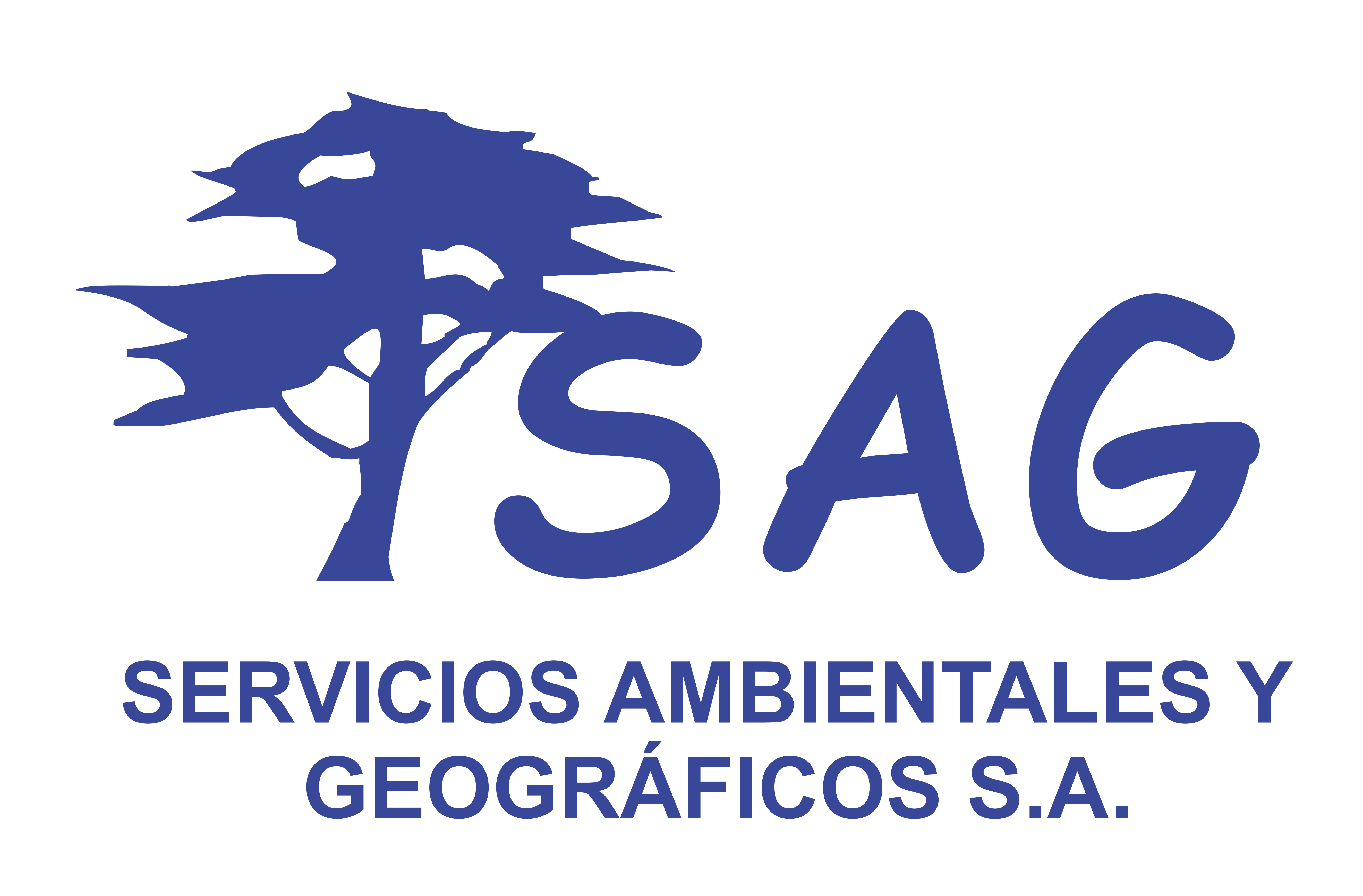 Logo SAG S.A.